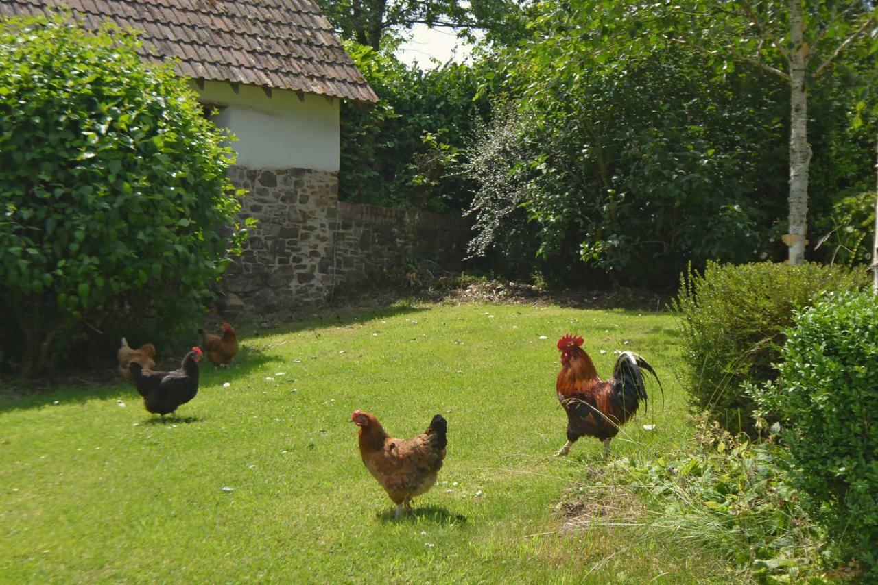 Woodland Cottage South Molton Luaran gambar